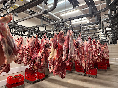 Metzgerei Mishtore Morina Ebersbach Stuttgarter Str. 20, 73061 Ebersbach an der Fils, Deutschland