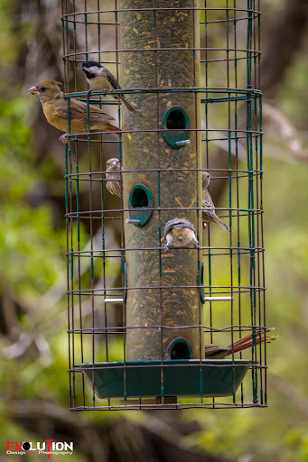 Nature Preserve «Warbler Woods», reviews and photos, 19349 Old Wiederstein Rd, Cibolo, TX 78108, USA