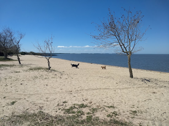Praia da Barrinha