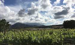Highland Hills Winery