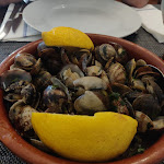 Photo n°1 de l'avis de Monique. fait le 10/06/2023 à 16:45 sur le  Restaurante O Lagar à Elvas