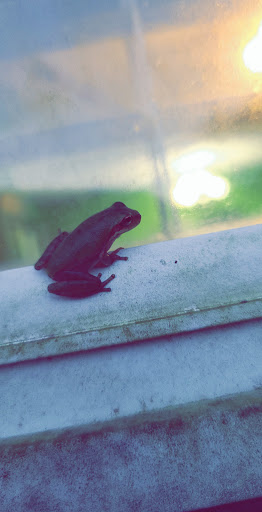 Pet Supply Store «Petsense Foley», reviews and photos, 2139 S McKenzie St, Foley, AL 36535, USA