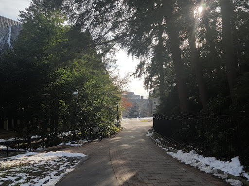 Cosmetics Store «Benefit Cosmetics Boutique & Brow Bar», reviews and photos, 20 Nassau St, Princeton, NJ 08542, USA