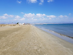 Lady's Mile beach'in fotoğrafı - rahatlamayı sevenler arasında popüler bir yer