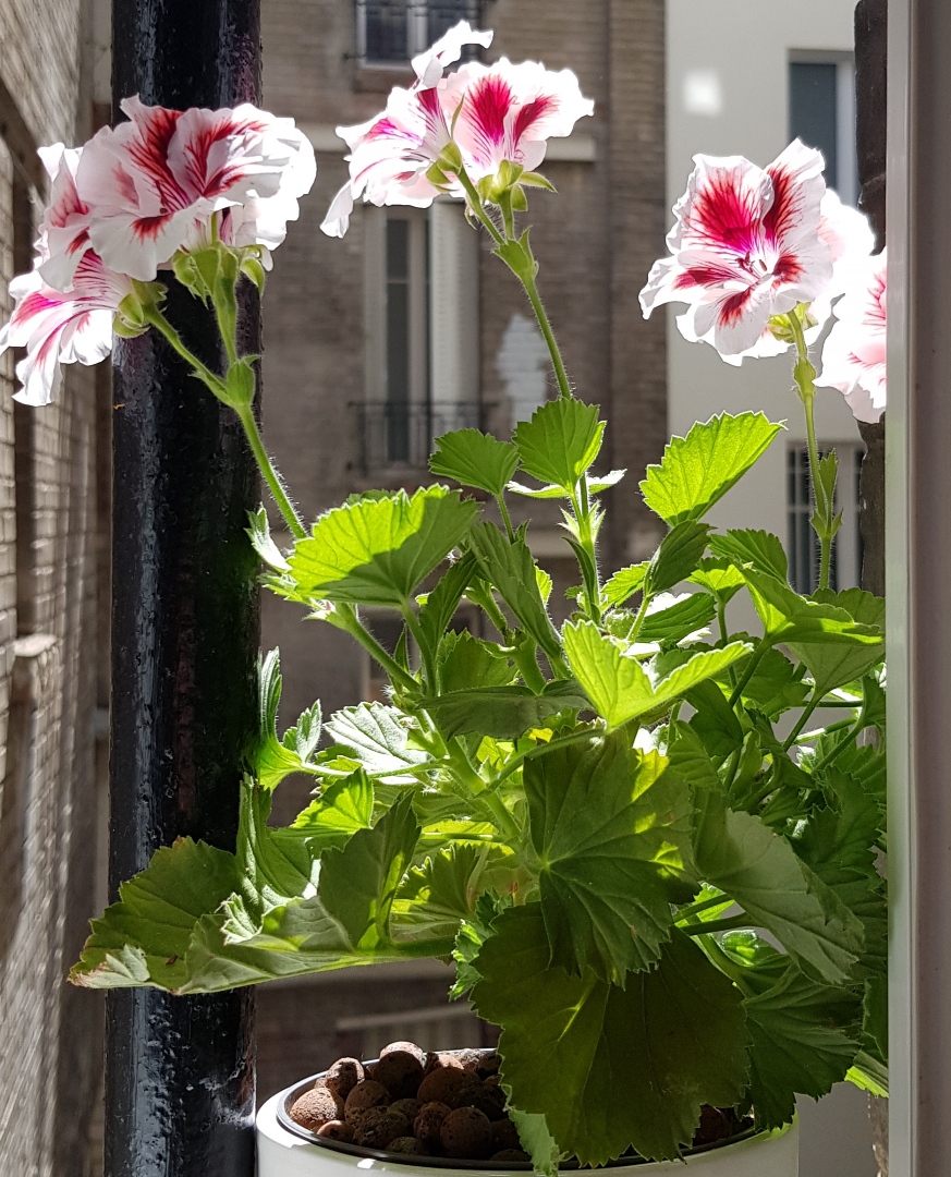 Photo n° 2 de l'avis de Philippe.e fait le 26/06/2022 à 12:57