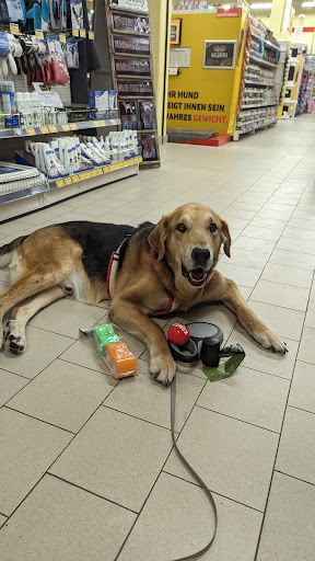 DAS FUTTERHAUS - Bremen-Vahr unter Bremen, 