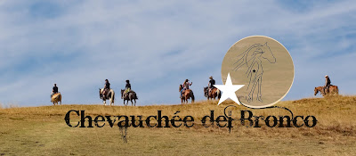 Chevauchée del Bronco : Balades et randonnées à cheval Vassieux en Vercors Drôme à Vassieux-en-Vercors
