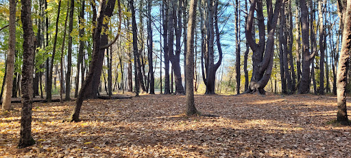 Disc Golf Course «Bellamy Park Disc Golf», reviews and photos, Bellamy Rd, Dover, NH 03820, USA