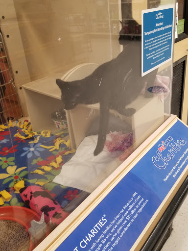 Pet Supply Store «PetSmart», reviews and photos, 6251 N Davis Hwy, Pensacola, FL 32504, USA