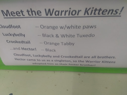 Pet Supply Store «Westwood Pet Center», reviews and photos, 5428 Westbard Ave, Bethesda, MD 20816, USA