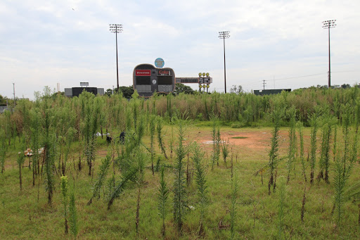 Baseball Field «Herschel Greer Stadium», reviews and photos, 534 Chestnut St, Nashville, TN 37203, USA