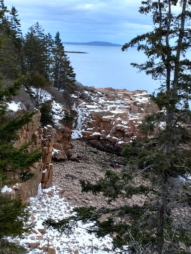 Community Center «The Mount Desert Island YMCA», reviews and photos, 21 Park St, Bar Harbor, ME 04609, USA