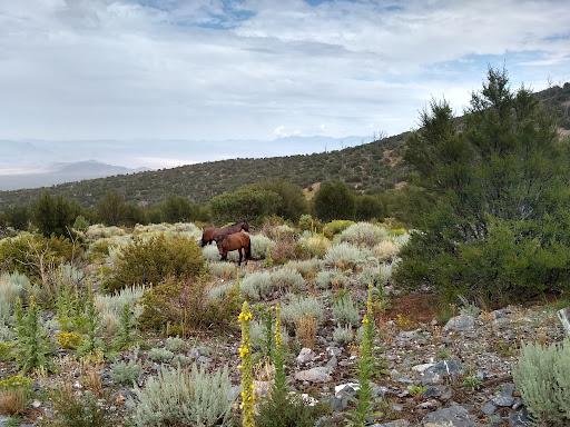 Bonanza Trail North Trailhead