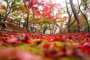 Ozekiyama Park image