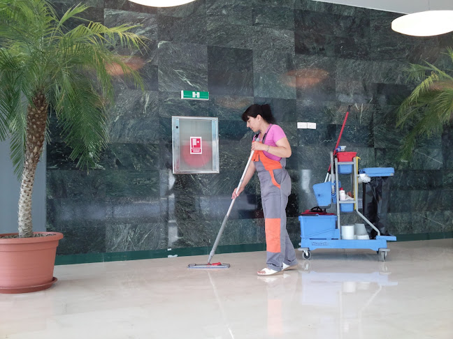 Firme Curatenie Birouri - Criss Cleaning Off Services