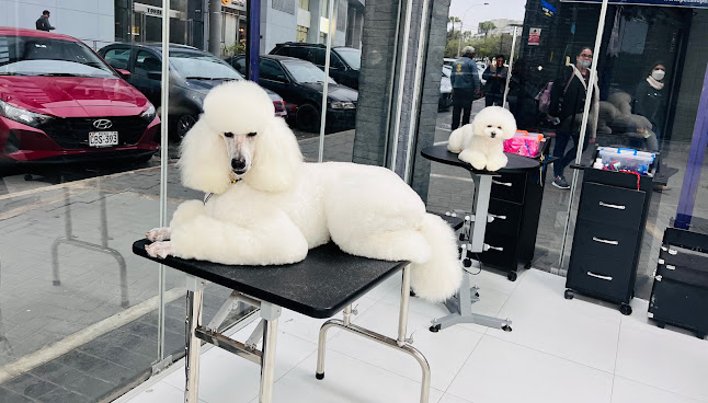 Comentarios y opiniones de Elegance - Grooming & Petshop