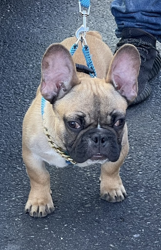 429 E Cumberland St, Lebanon, PA 17042, USA