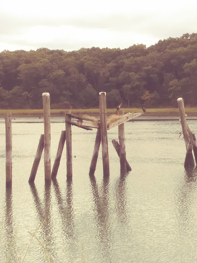 Park «Bare Cove Park», reviews and photos, Bare Cove Park Dr & Fort Hill St, Hingham, MA 02043, USA