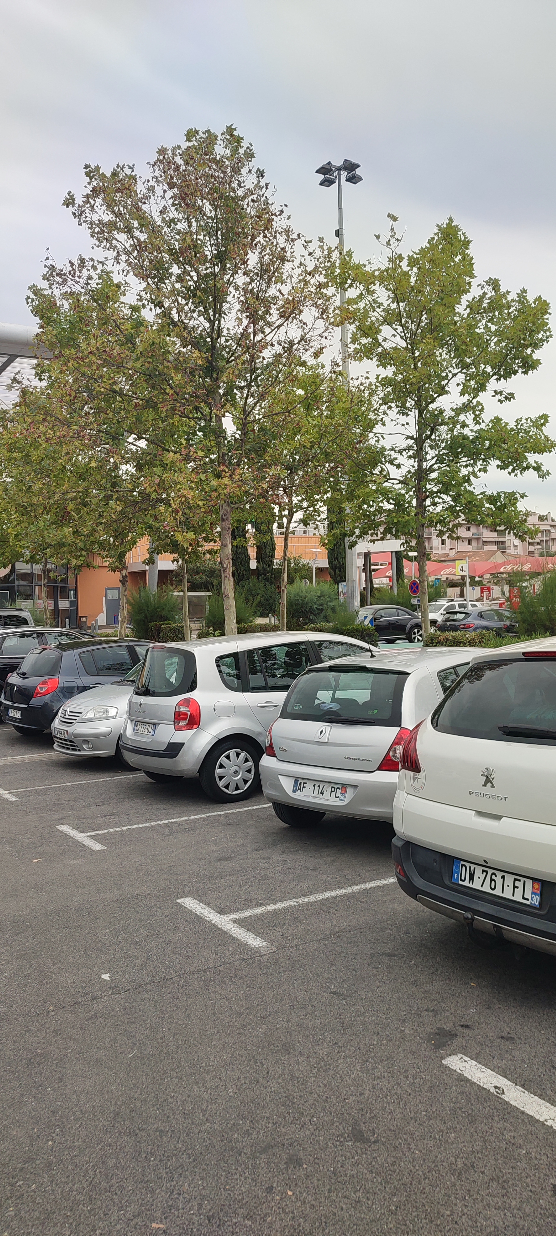 Photo n° 23 de l'avis de Jeanmichel.7 fait le 18/08/2022 à 15:00