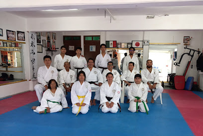 dento Mabuni Shito Ryu Karate Do En México A.c. Escuela San Juan del Río