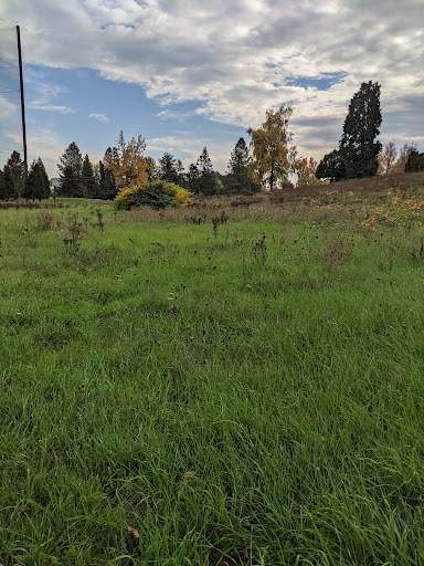 Golf Course «McKay Creek Golf Course & Driving Range», reviews and photos, 1416 NW Jackson St, Hillsboro, OR 97124, USA