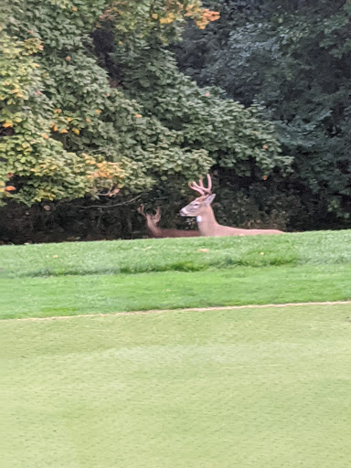 Golf Course «Waveland Golf Course», reviews and photos, 4908 University Ave, Des Moines, IA 50311, USA