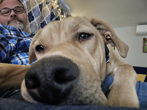 Garland Road Small Animal Hospital image