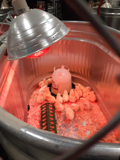 Sporting Goods Store «Big R Store of Marion», reviews and photos, 1401 W 26th St, Marion, IN 46953, USA