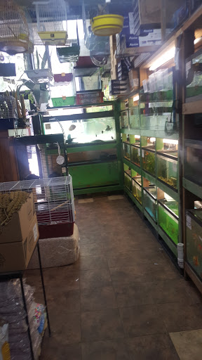 Pet Store «Paraiso De Aves», reviews and photos, 1836 W 47th St, Chicago, IL 60609, USA