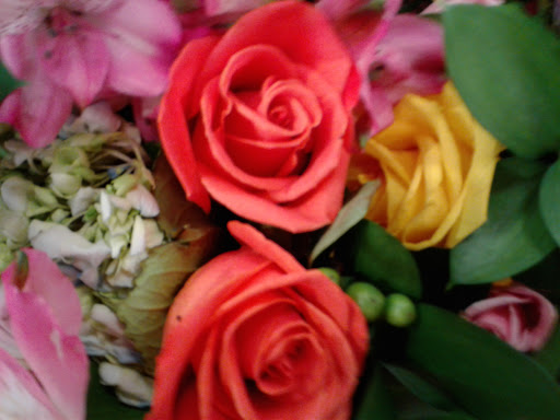 Grocery Store «Kroger», reviews and photos, 6199 GA-92, Acworth, GA 30102, USA