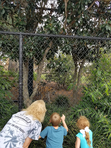 Athletic Track «Bernie Moore Track Stadium», reviews and photos, 1 North Stadium Dr, Baton Rouge, LA 70802, USA