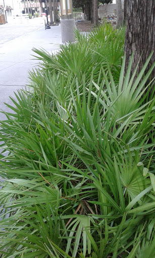 Historical Society «Orange County Regional History Center», reviews and photos, 65 E Central Blvd, Orlando, FL 32801, USA