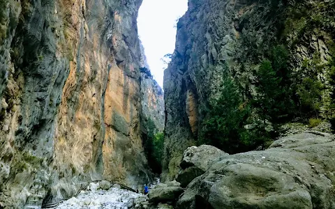 Εθνικός Δρυμός Σαμαριάς image