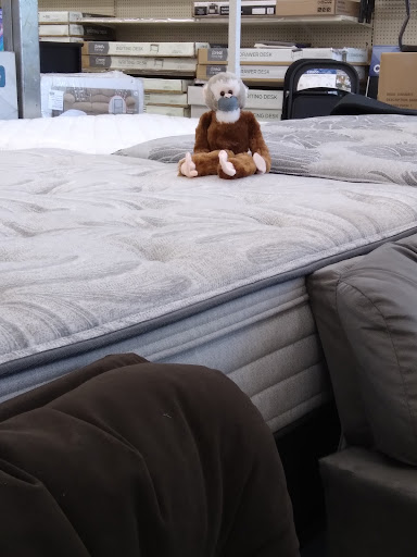 Discount Store «Big Lots», reviews and photos, 2055 Mendocino Ave, Santa Rosa, CA 95401, USA