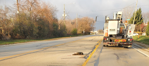 Municipality «Country Lakes Park», reviews and photos, 1835 N Aurora Rd, Naperville, IL 60563, USA