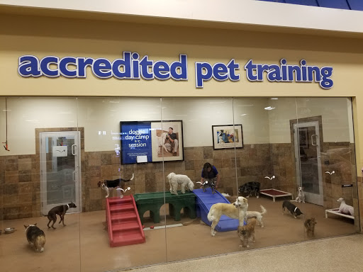 Pet Supply Store «PetSmart», reviews and photos, 1225 Industrial Rd, San Carlos, CA 94070, USA