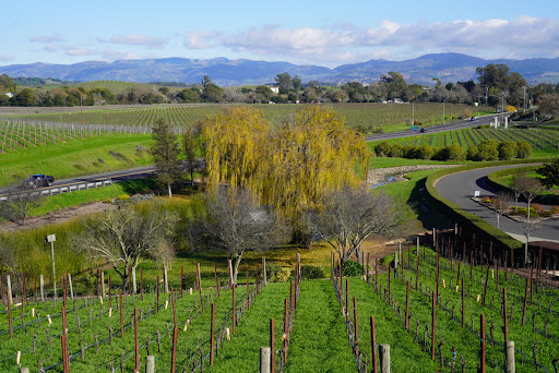 Winery «Domaine Carneros», reviews and photos, 1240 Duhig Rd, Napa, CA 94559, USA