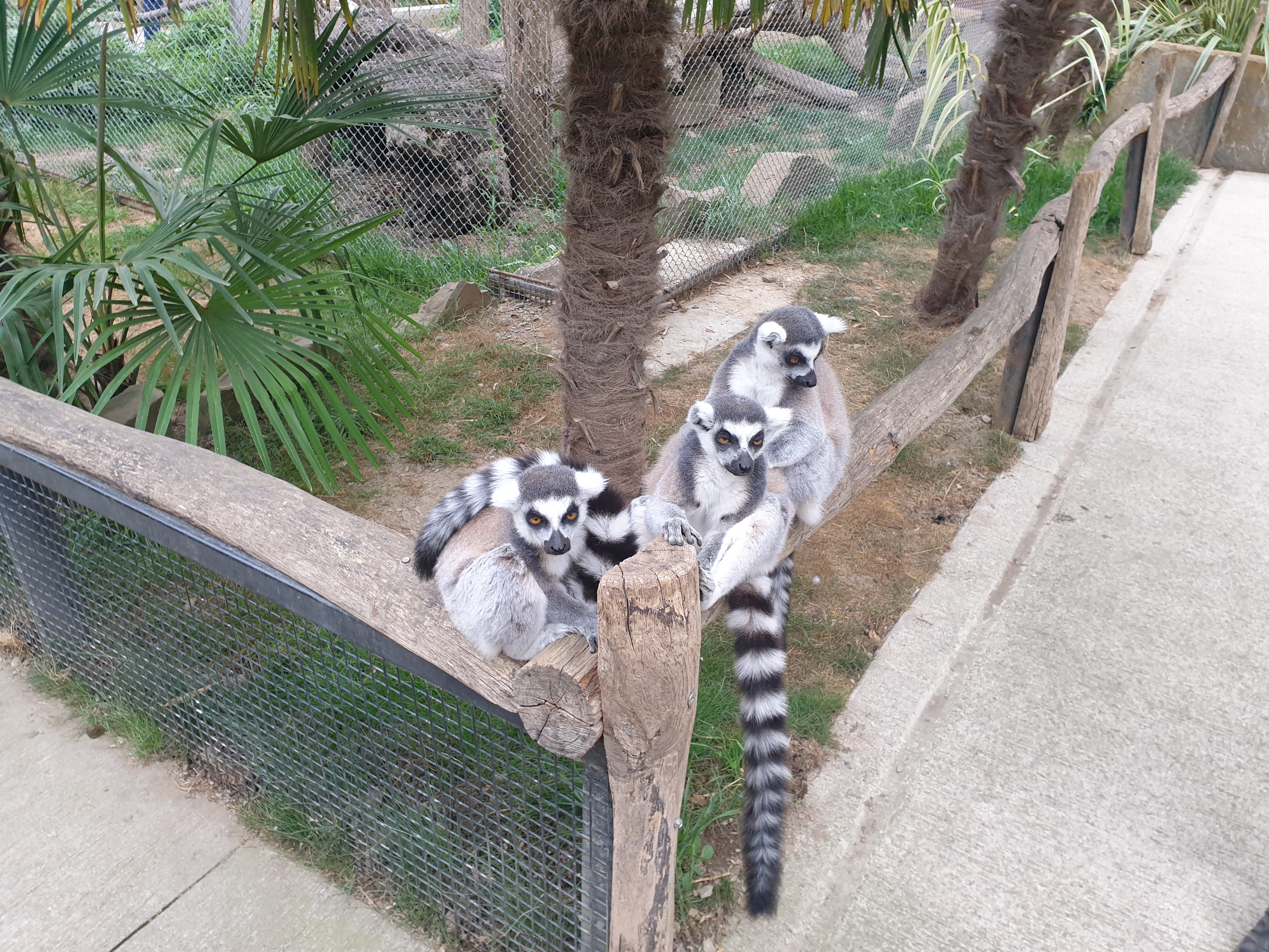 Photo n° 7 de l'avis de Master.U fait le 16/08/2022 à 16:25