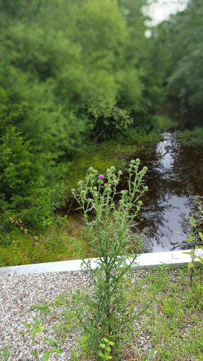 Community Park «Wells Mills County Park», reviews and photos, 905 Wells Mills Rd, Waretown, NJ 08758, USA