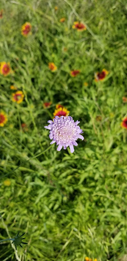 Gym «Carpenter Park Recreation Center», reviews and photos, 6701 Coit Rd, Plano, TX 75024, USA