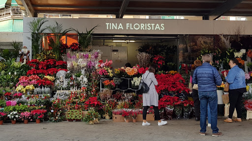 Floristería en Alicante - TINA FLORISTAS MERCADO (Flores a domicilio) en Alicante
