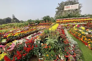 Ekamra Kanan Botanical Gardens image