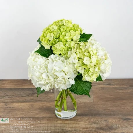 Florist «Accent Flowers», reviews and photos, 312 Wilson Pike Cir, Brentwood, TN 37027, USA