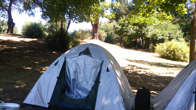 Horarios de Camping Olegario Mohr