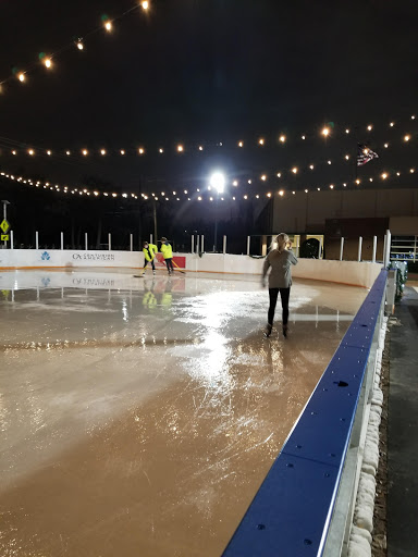 Ice skating rink in Dallas