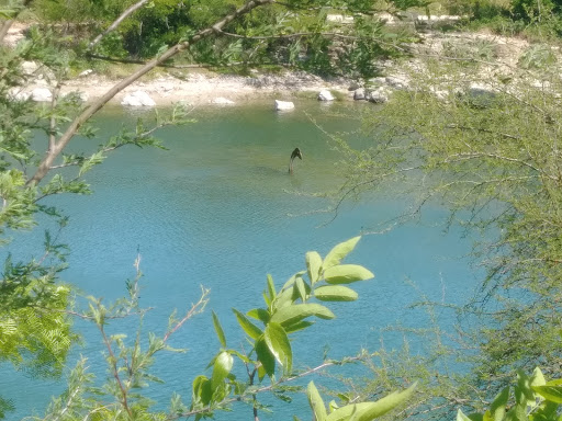 Park «Tom Slick Park / Dog Park», reviews and photos, 7400 Texas 151 Access Rd, San Antonio, TX 78227, USA