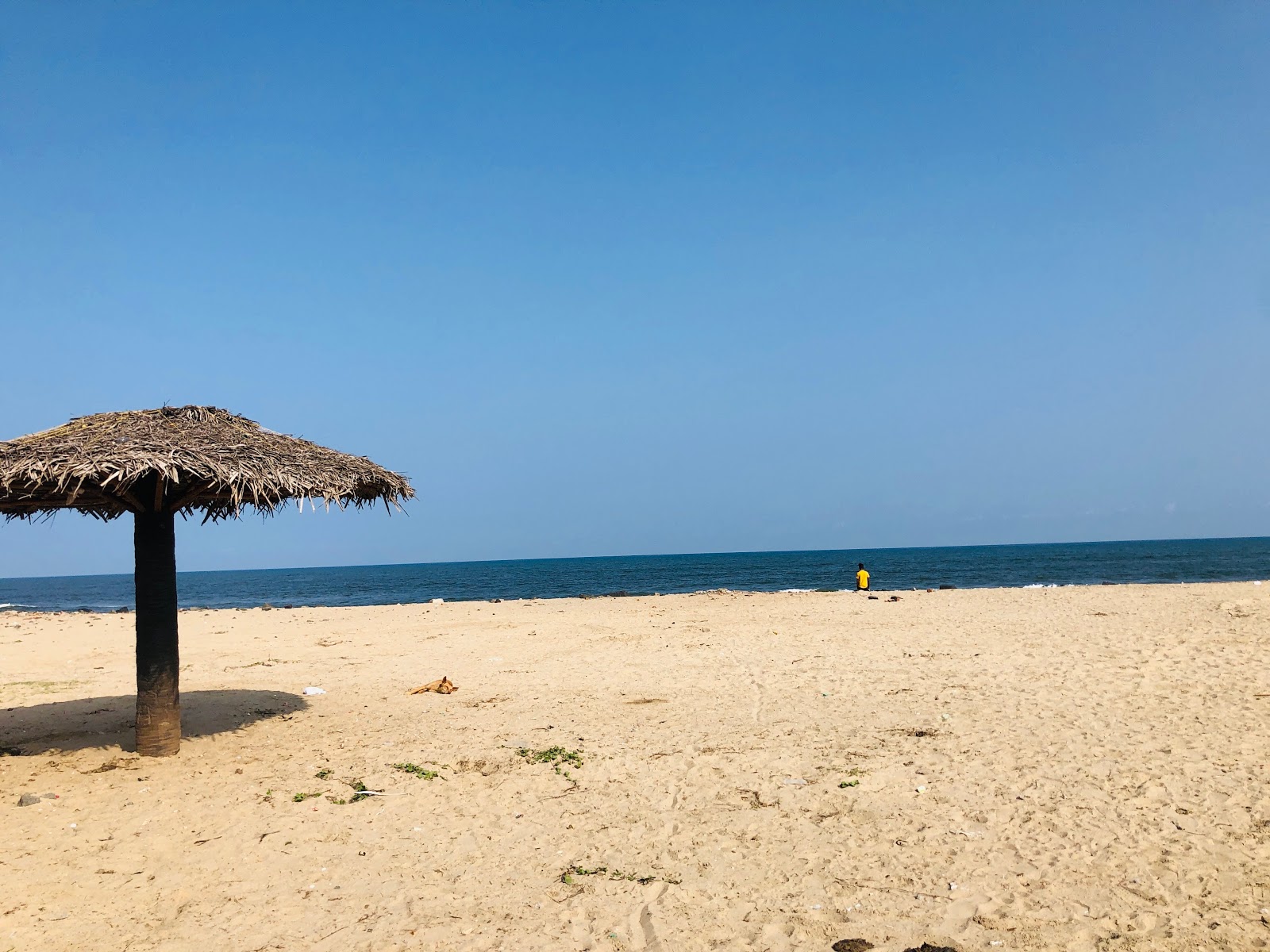 Pondy Marinaa photo #7