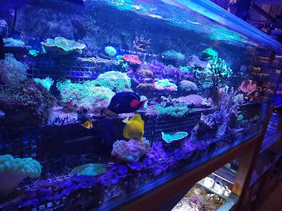 Acuario Marino Deep Reef