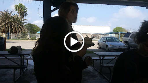 Home Goods Store «Dollar General», reviews and photos, 1224 N Brazosport Blvd, Freeport, TX 77541, USA