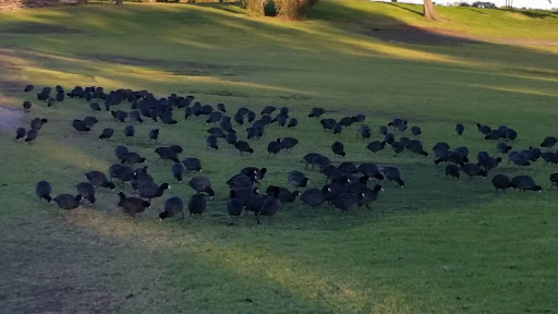 Recreation Center «Shoreline Lake Boathouse», reviews and photos, 3160 N Shoreline Blvd, Mountain View, CA 94043, USA